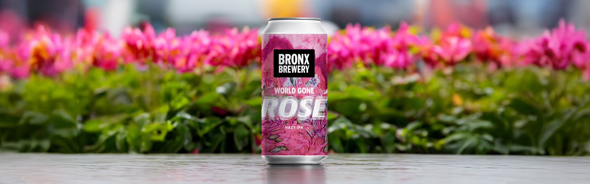 World Gone Rosé Hazy IPA med drakfrukt och hibiskus från i tillfälligt släpp!