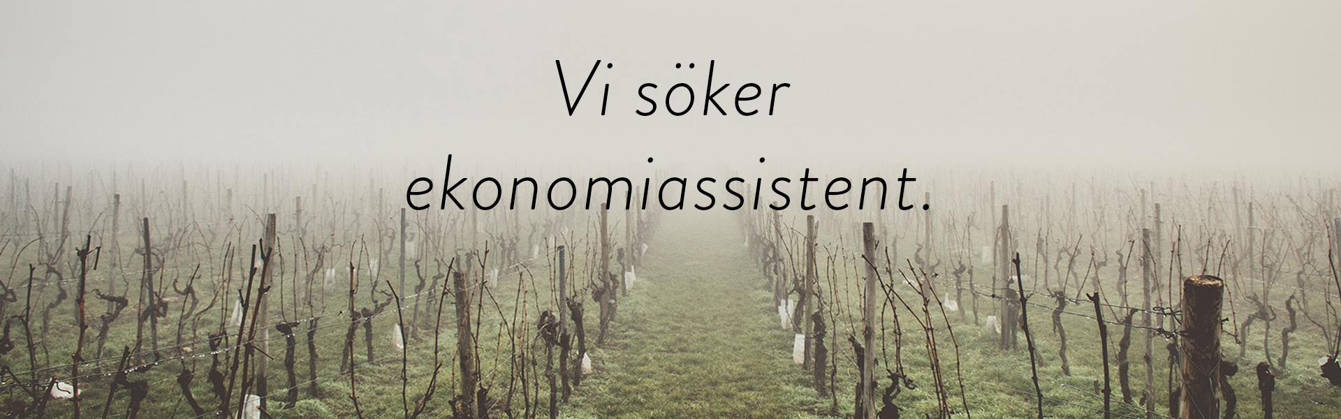 Vi söker en ekonomiassistent